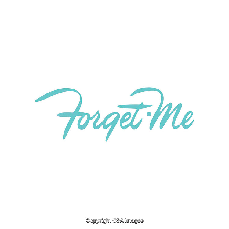 Elegant Turquoise Calligraphy Featuring the Text Forget Me on White Background