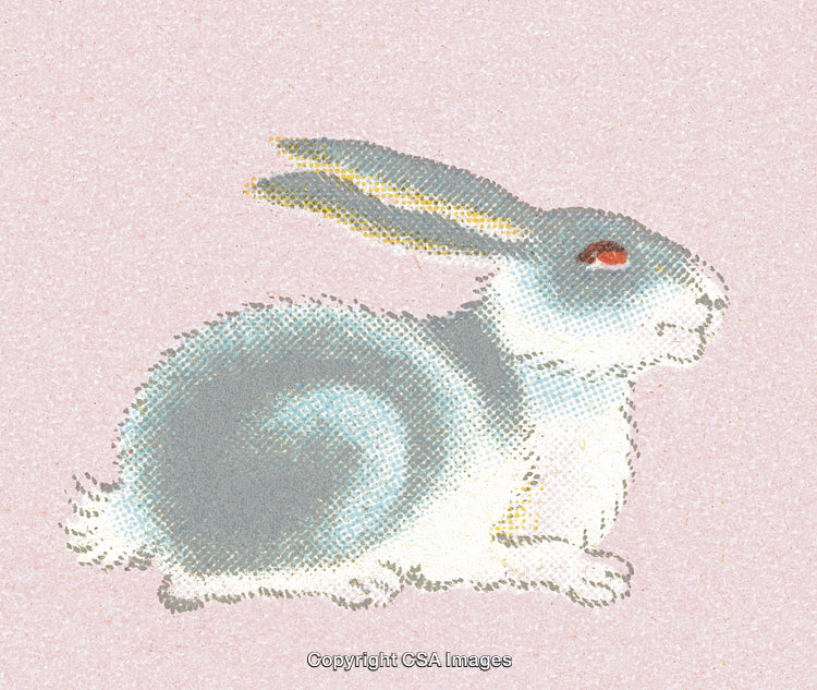 Vintage Style Illustration of a Rabbit on a Subtle Pink Background