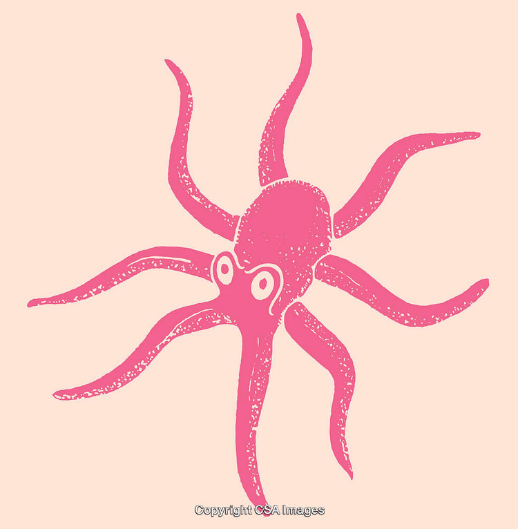 Vibrant Pink Octopus Illustration on Pastel Background