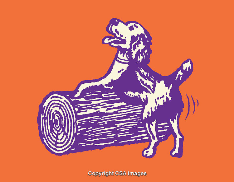 Playful Dog in Vibrant Colorful Line Art Illustration