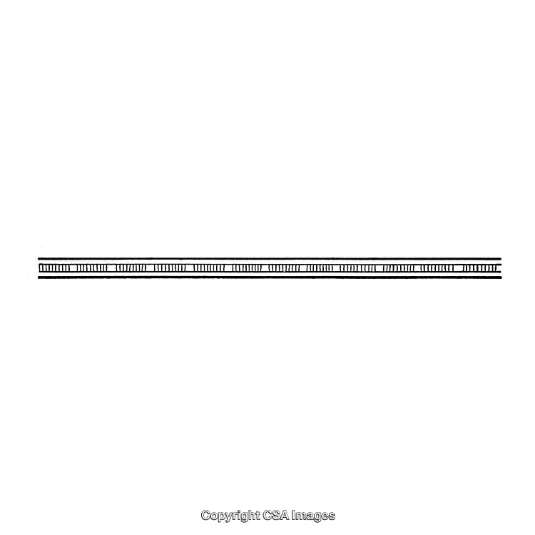Black and White Decorative Borders with Intricate Lined Design Patterns