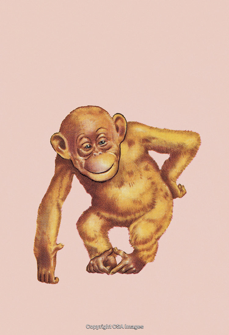 Illustration of a Charming Monkey Playfully Posing on a Neutral Background