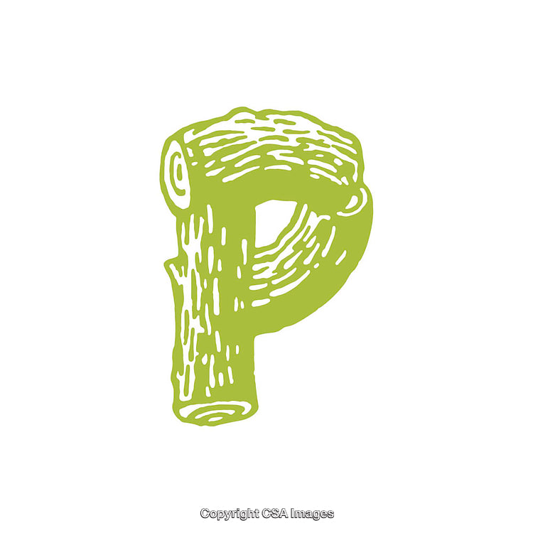 Stylized Green Letter P With Wooden Texture Design