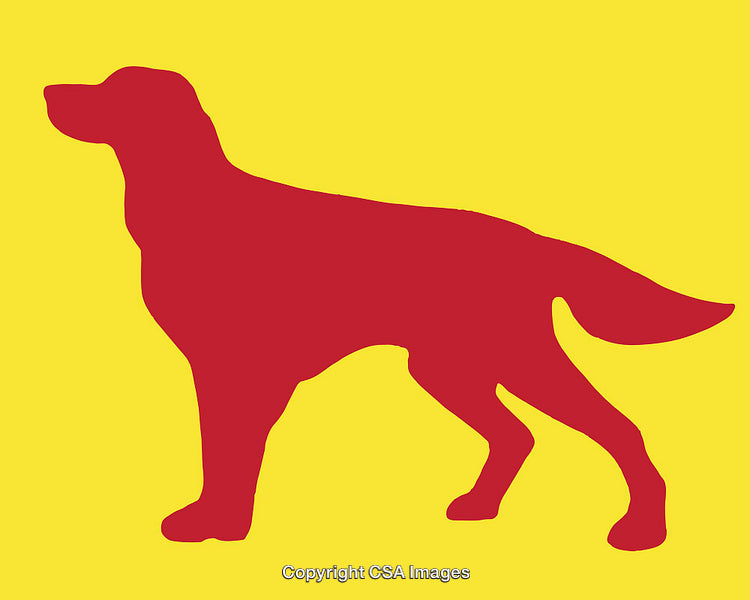 Silhouette of a Dog in Bold Red and Yellow Color Scheme