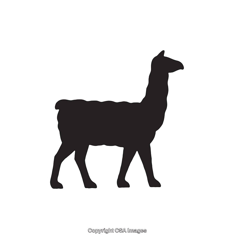 Black Silhouette Illustration of a Llama in Profile