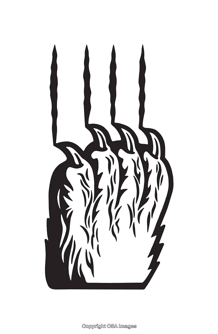 Monochromatic Line Art Illustration of a Wild Animal Paw Print