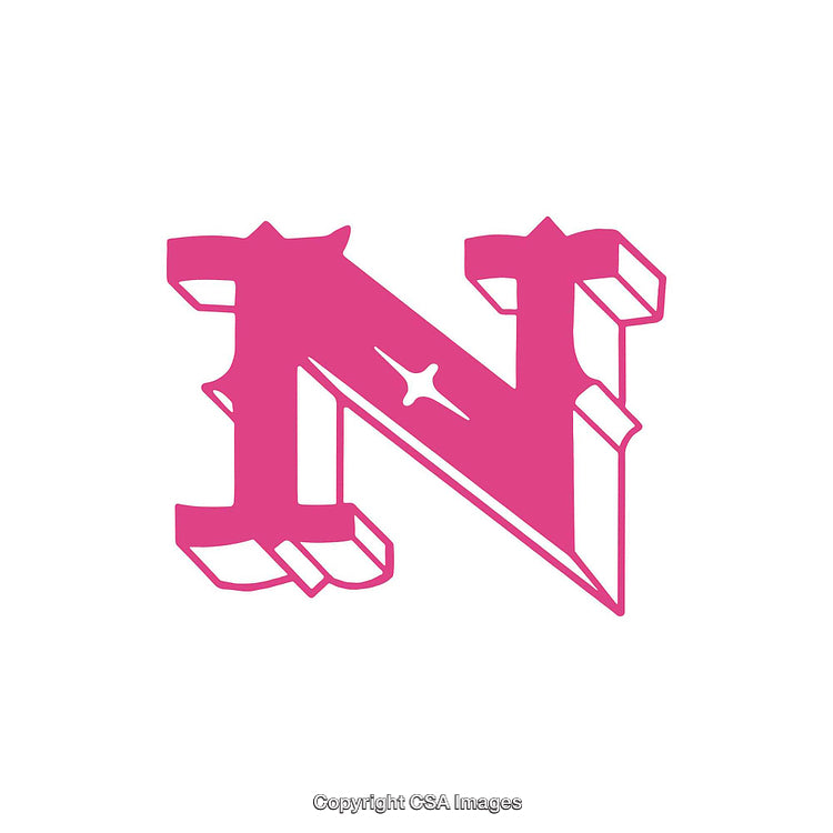 Pink Gothic N Letter With Star Accent on White Background