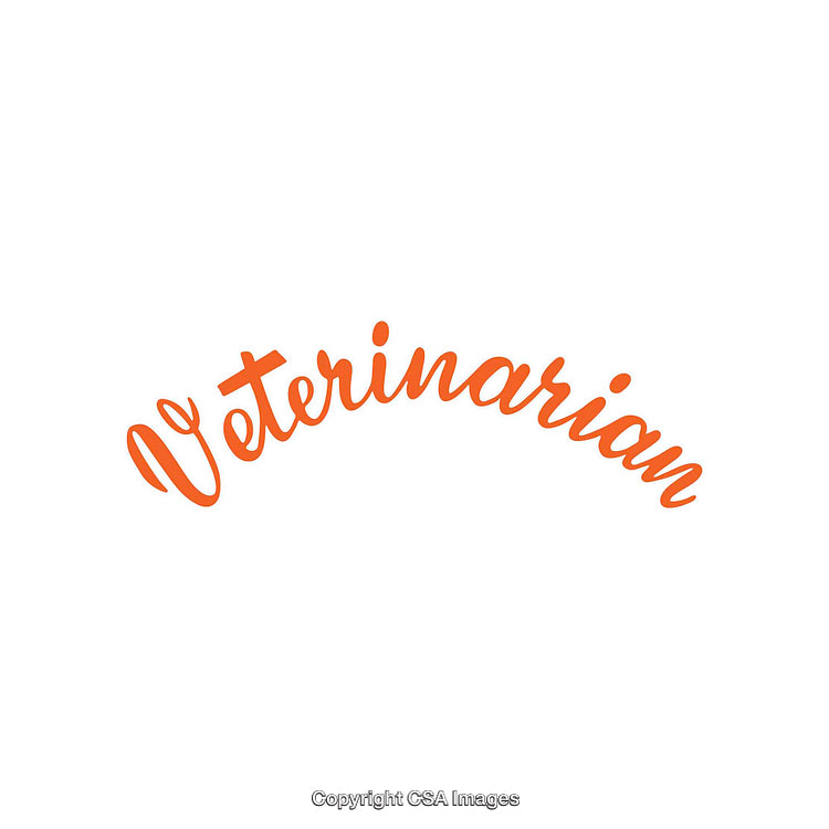 Professional Veterinarian Text in Orange on a Clean White Background