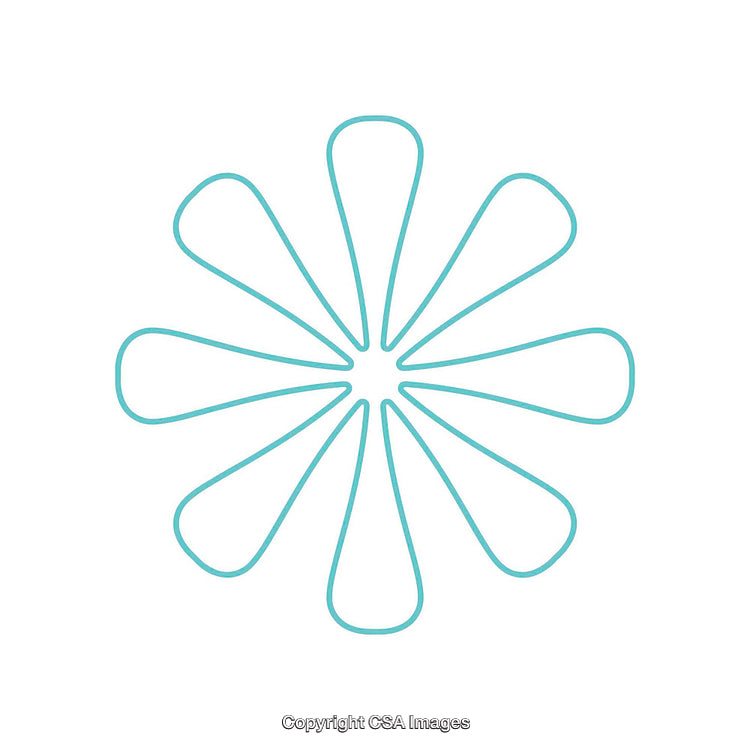 Minimalist Teal Flower Dingbat on White Background for Design Use