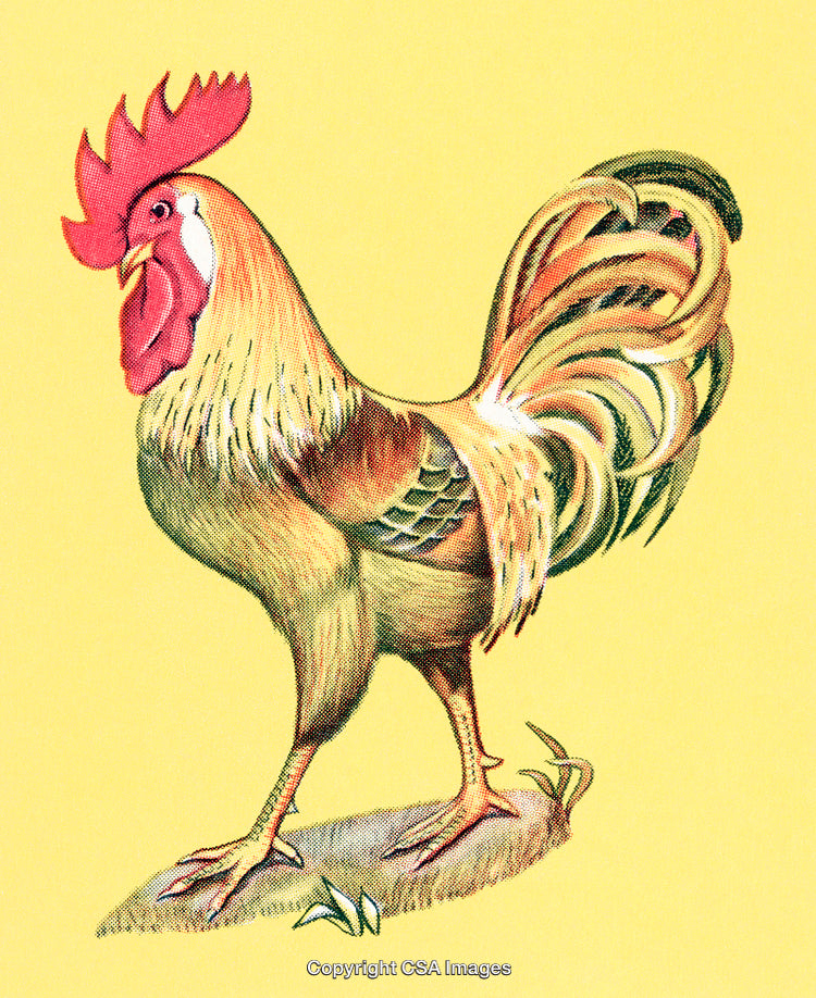 Colorful Rooster Illustration on Yellow Background with Vibrant Details