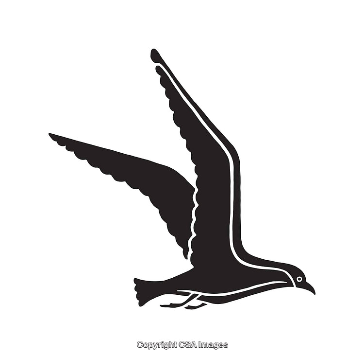 Black and White Line Art of a Bird in Flight