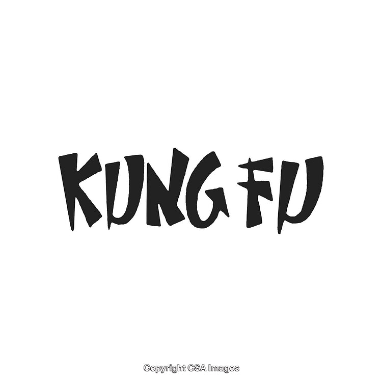 Stylized Hand-Drawn Kung Fu Calligraphy Design on a Clean White Background