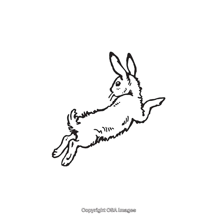 Detailed Line Art of a Leaping Rabbit in Black and White