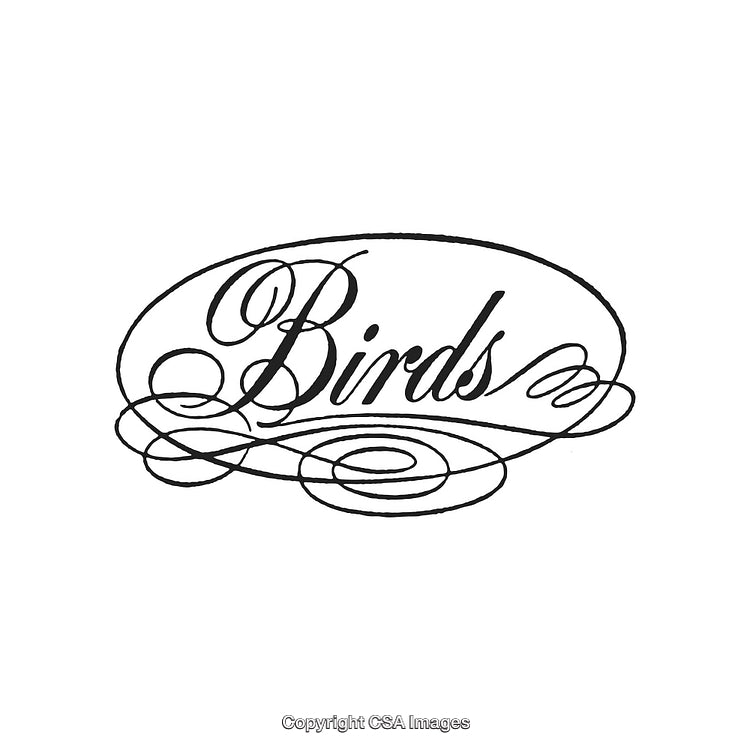 Vintage Decorative Typography Design Displaying the Word 'Birds' Elegantly