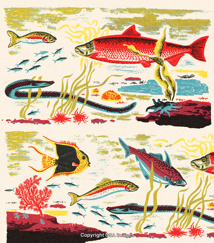 Colorful Illustration of Marine Life With Fish, Seaweed, and Corals