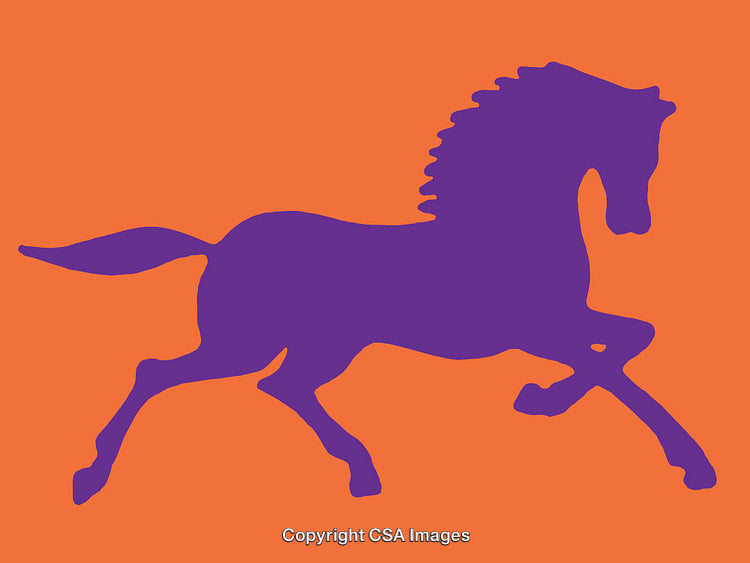 Colorful Abstract Silhouette of a Galloping Horse in Bold Contrasting Colors