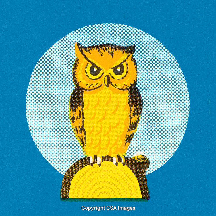 Illustrated Yellow Owl on a Blue Background with Retro Style Art