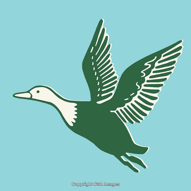 Stylized Green Duck Flying Against a Clean Blue Background