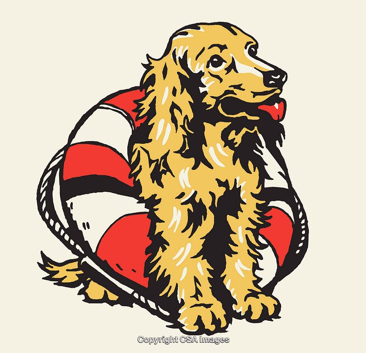 Golden Retriever Illustration with Lifebuoy in Vintage Style