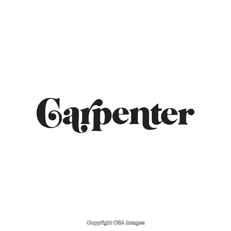 Elegant Vintage Typography Logo with Decorative Elements