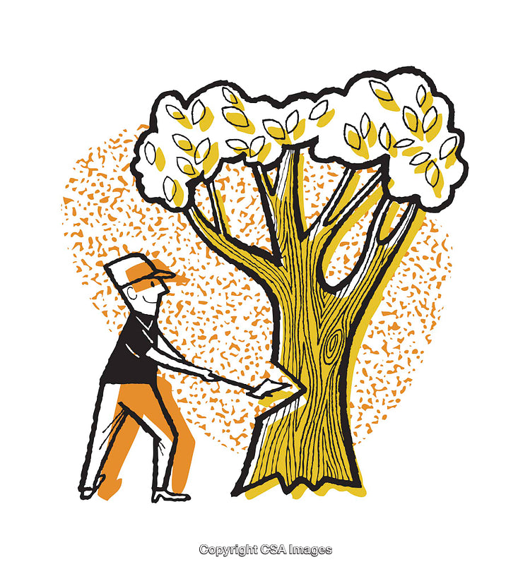 Illustrative Depiction of a Person Chopping a Tree with Vibrant Colors