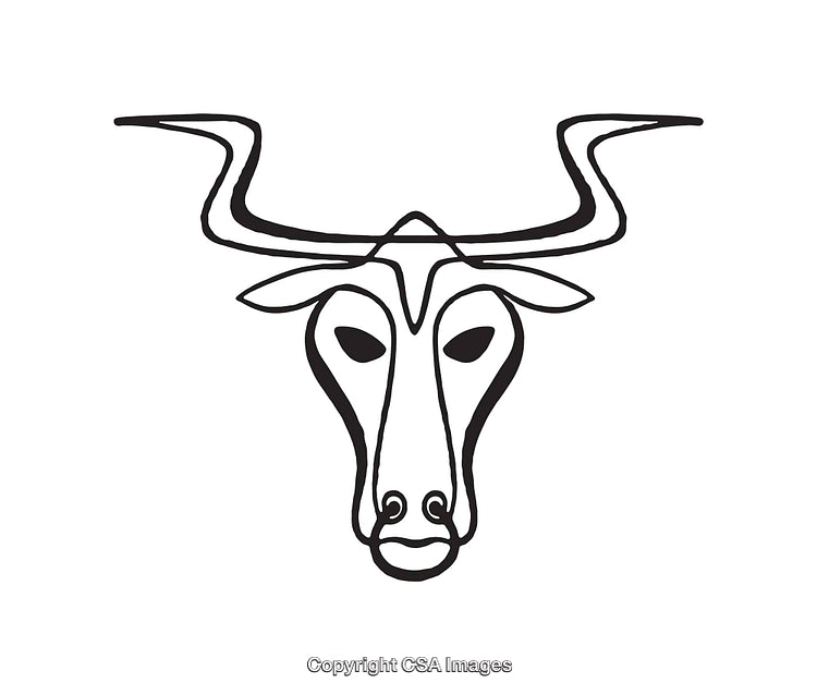 Line Art Illustration of a Stylized Bull with Curved Horns