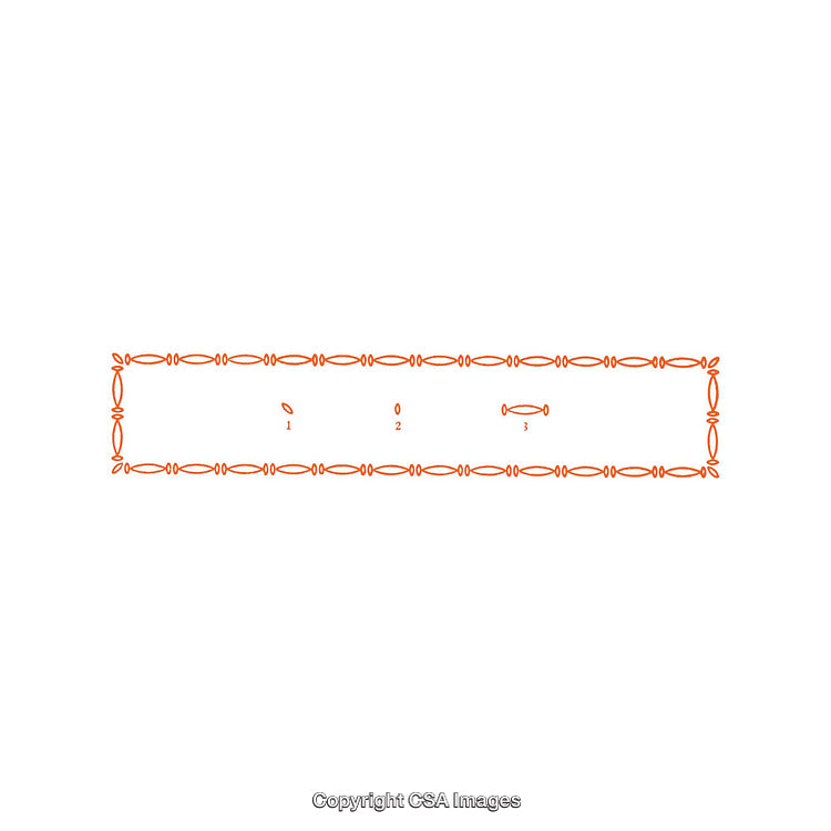 Minimalistic Orange Geometric Border With Repeated Leaf and Oval Patterns