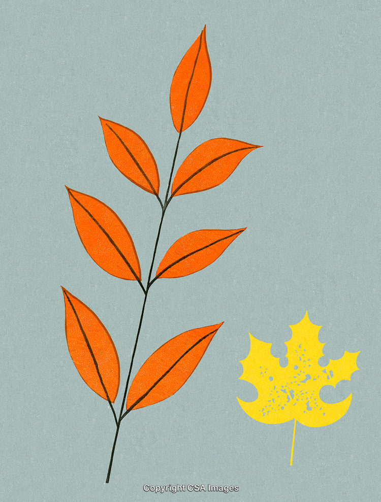Colorful Seasonal Foliage Illustration Featuring Orange and Yellow Leaves on a Soft Background