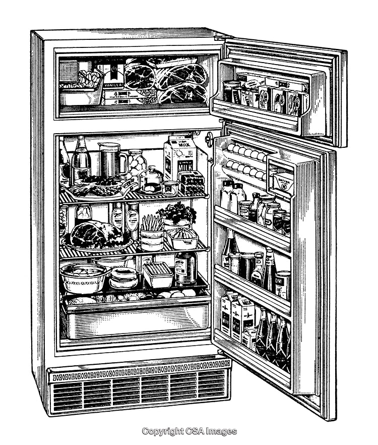 Detailed Black and White Engraving of a Fully Stocked Refrigerator