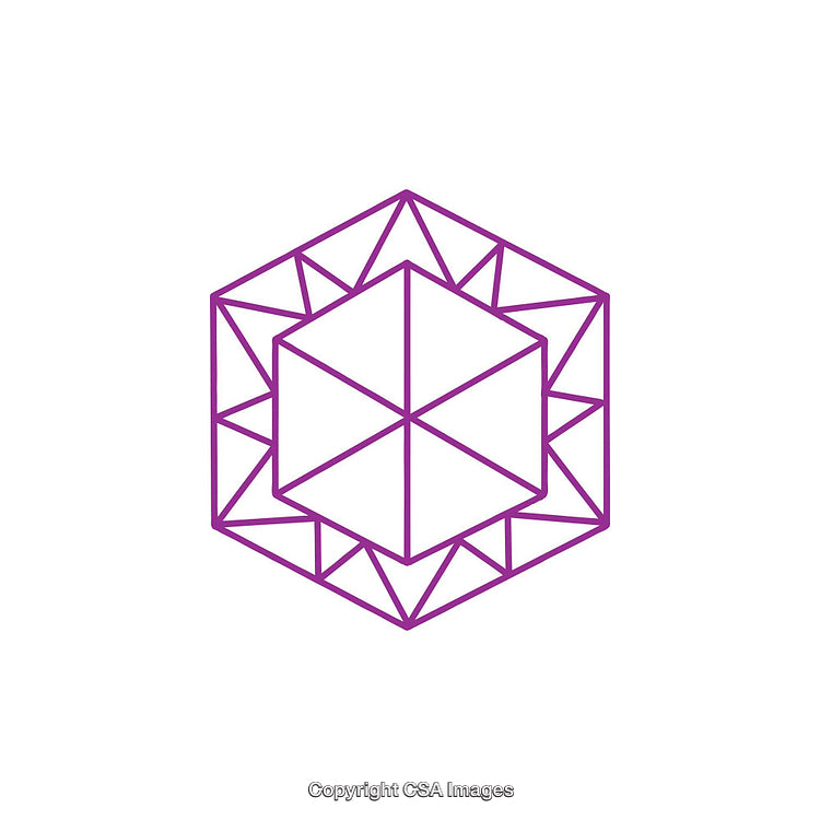 Geometric Hexagon with Intricate Purple Lines and Modern Design
