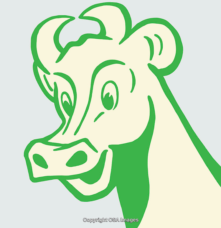 Colorful Line Art Illustration of a Happy Cow Face Design