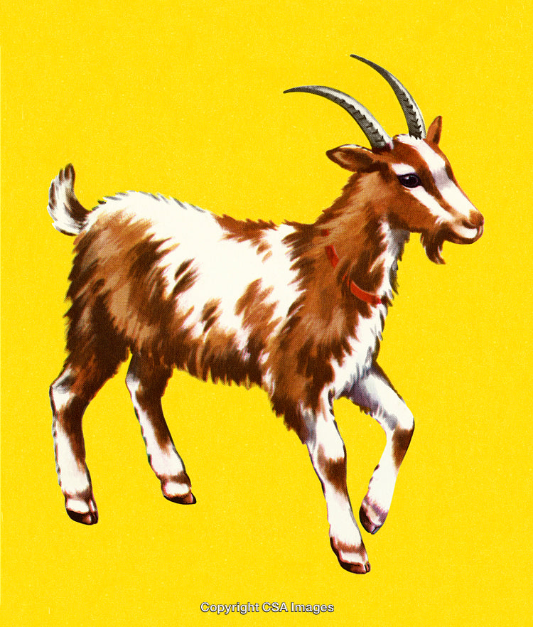 Illustration of a Goat on a Yellow Background, with Detailed Fur and Features