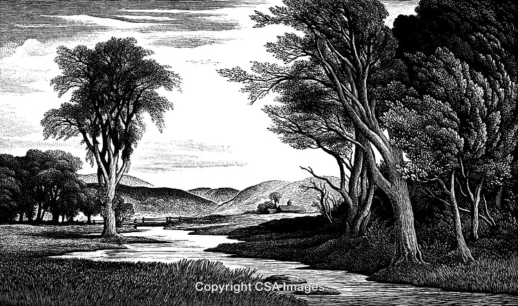Detailed Black And White Engraving of Peaceful River in Natural Landscape
