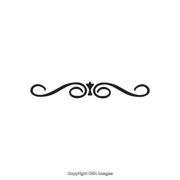 Elegant Decorative Ornament Divider in Black and White Style