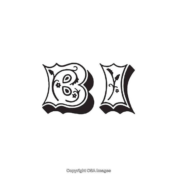 Intricately Decorative Gothic Themed Letters B and I With Intriguing Floral Details and Shadows