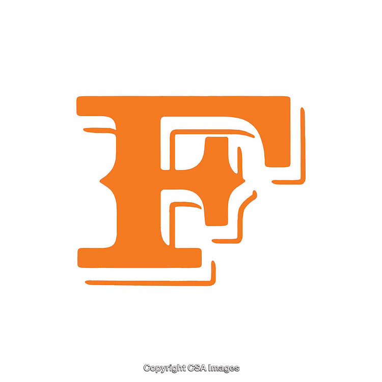 Orange Serif Letter E Logo with Modern Design Details