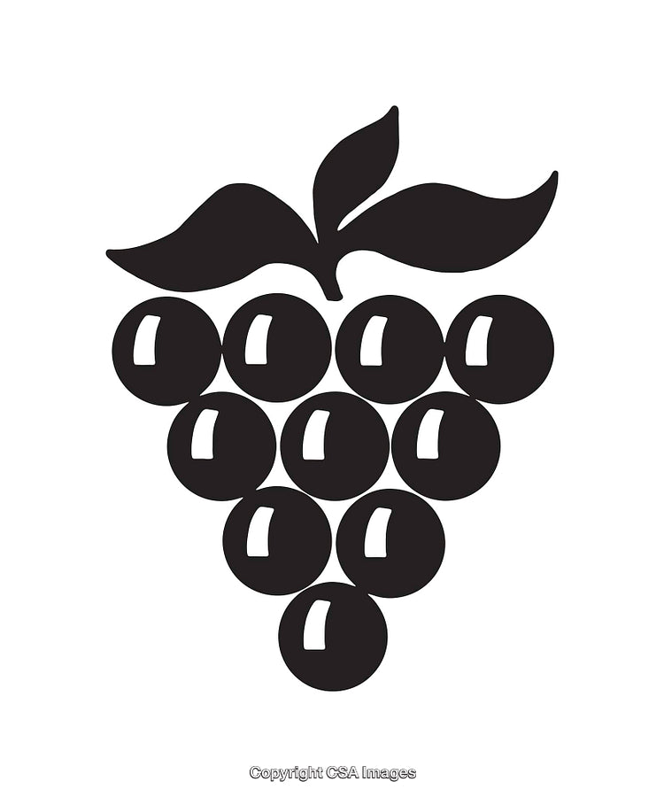 Black and White Grape Icon with Leaves on White Background