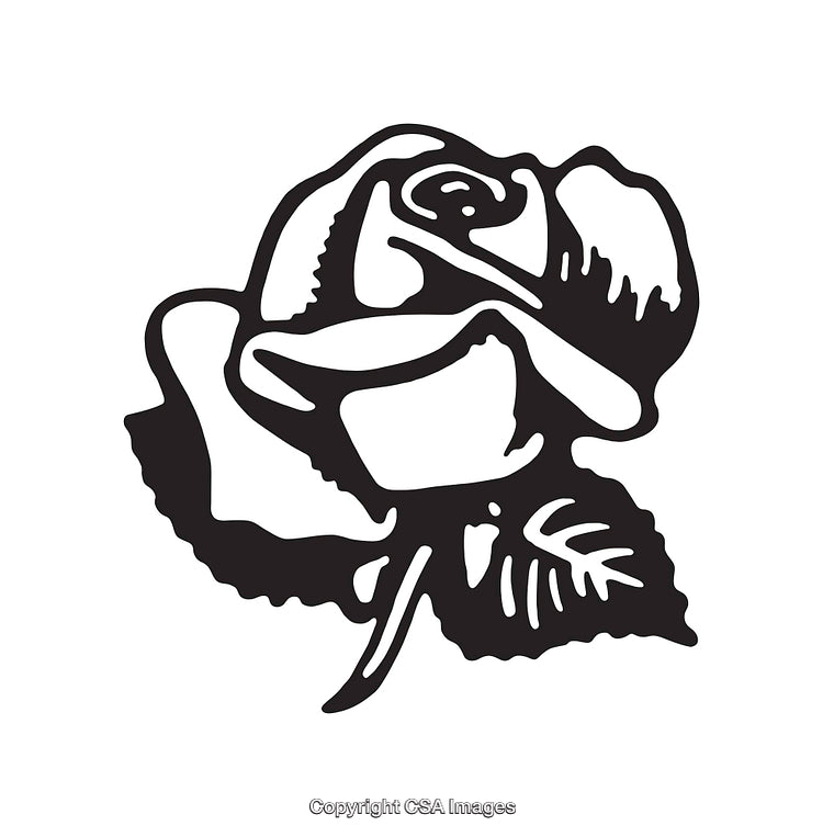 Black and White Line Art Illustration of a Roses Flower Design