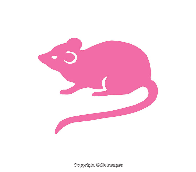 Pink Silhouette Icon of a Small Mouse on a White Background