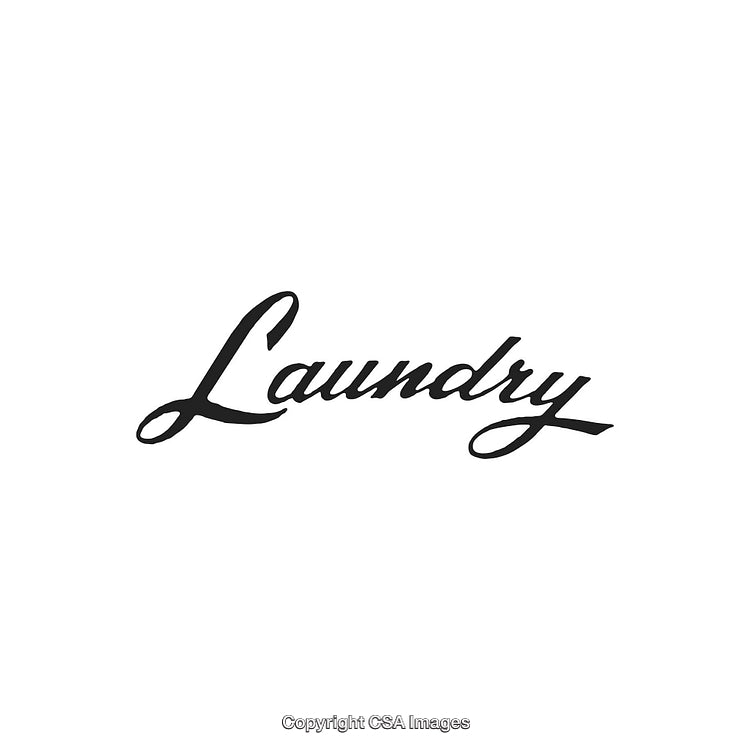 Elegant Black Script Typography of the Word 'Laundry' on White Background