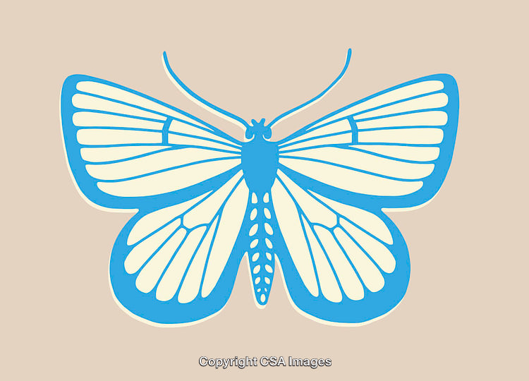 Detailed Blue Butterfly Line Art Illustration on a Beige Background