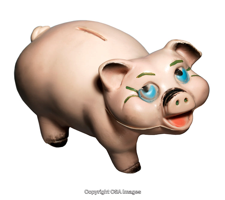 Smiling Piggy Bank Showing Cute Expressions for Savings and Financial Concept