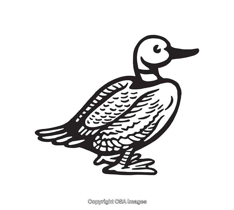 Black and White Line Art Illustration of a Standing Duck