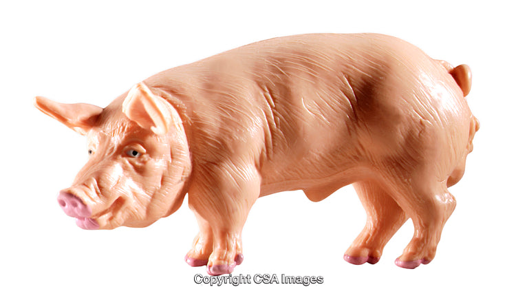 Realistic Plastic Pig Toy Figure Isolated on a White Background