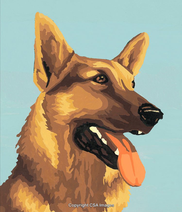 Illustrated German Shepherd Dog in a Classic Paint by Number Style