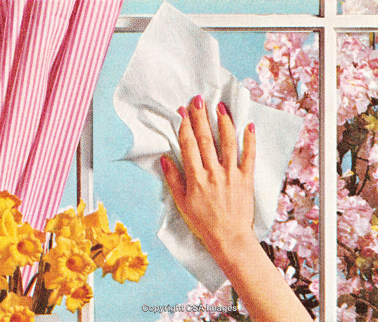 Hand Cleaning a Window with Blossoms and Daffodils in a Retro Style