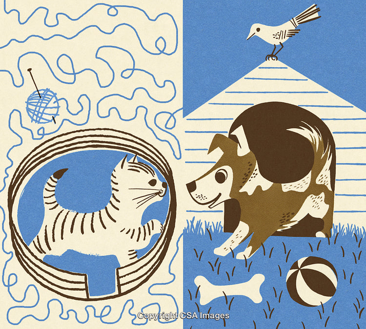 Vintage Illustration of Playful Cat and Dog with Accessories