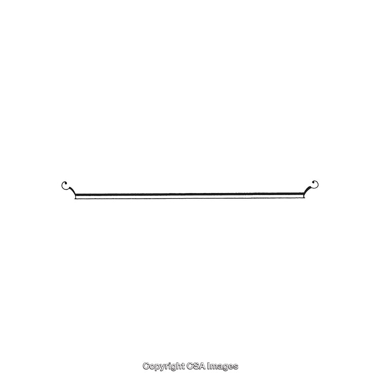 Intricate Black and White Decorative Design Ornament with Elegant Curves
