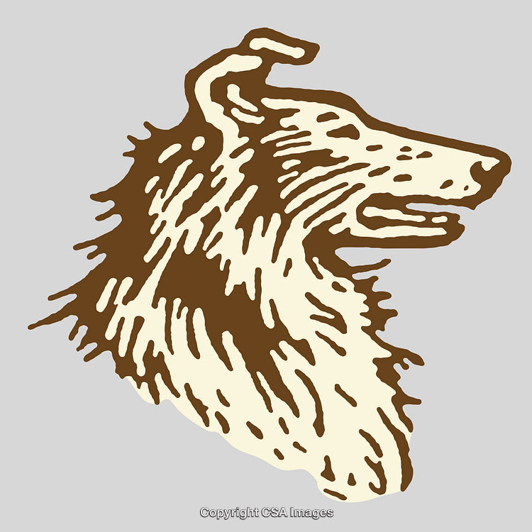 Vintage Line Art Illustration of a Collie Dog in Profile View