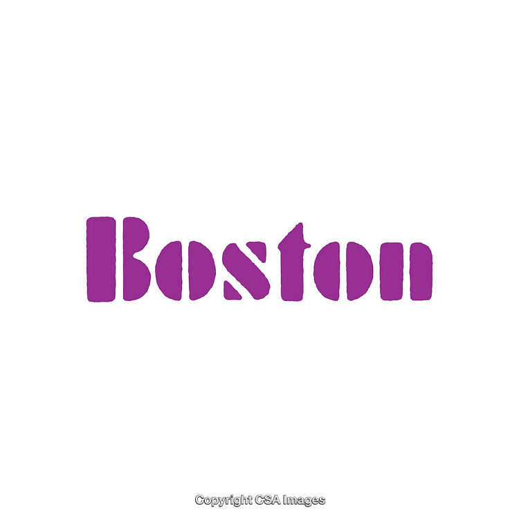 Stylized Purple Text Design Representing the City Name Boston in Artistic Font